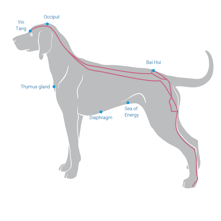 HomepageEnglischAllePunkte-1
