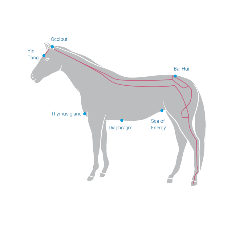 HomepageEnglischAllePunkte-2